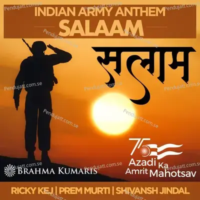 Salaam - Indian Army Anthem - Ricky Kej album cover 