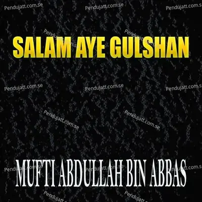 Salam Aye Gulshan - Mufti Abdullah Bin Abbas album cover 