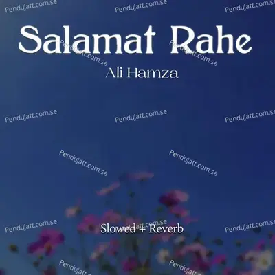 Salamat Rahe Lofi - Ali Hamza album cover 