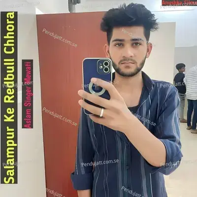Salampur Ke Redbull Chhora - Aslam Singer Mewati album cover 