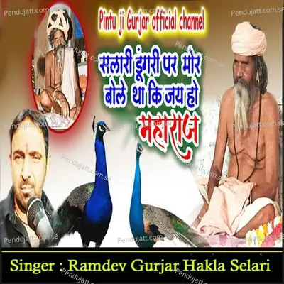 Salari Dungari Par More Bole Tha Ki Jai Ho Maharaj - Ramdev Gurjar Hakla Selari album cover 