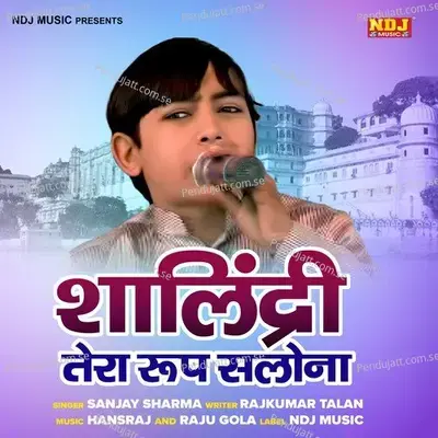 Salendri Tera Roop Salona - Sanjay Sharma album cover 