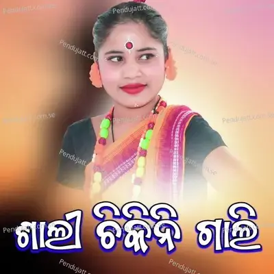 Sali Chikini Gali - Raju Nanda album cover 