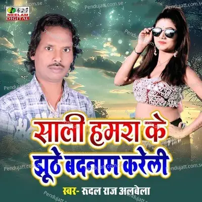 Sali Hamra Ke Jhoothe Badnam Kareli - Rudal Raj Albela album cover 