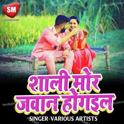 Ab Lagta Kuwar Wala Bhookh - Ranjeet Pandey album cover 