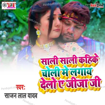 Sali Sali Kahike Choli Me Lagay Delo Ae Jija Ji - Sajan Lal Yadav album cover 