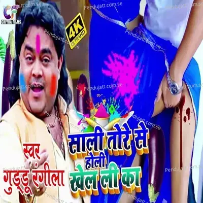 Sali  Tore Se Holi Khel Li Ka - Guddu Rangila album cover 