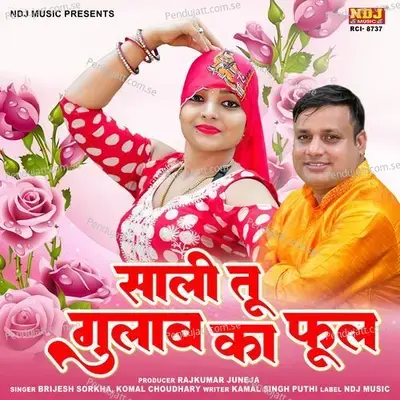 Sali Tu Gulab Ka Phool - Brijesh Sorkha album cover 