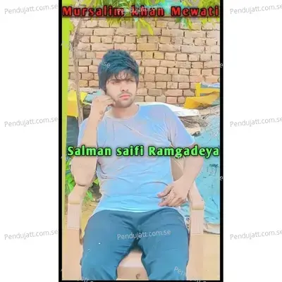 Salman Saifi Ramgadeya - Mursalim Mewati album cover 