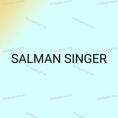 Salman Singer - Salman Singer album cover 