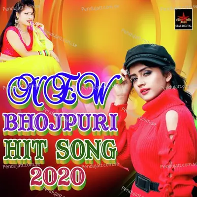 Salmanwa Dogla - Satrudhan Sargam album cover 