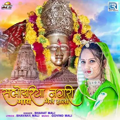 Salodariya Nagari Mai Mele Halo - Bharat Mali album cover 