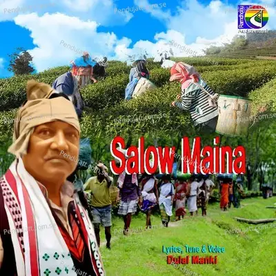 Salow Maina - Dulal Manki album cover 