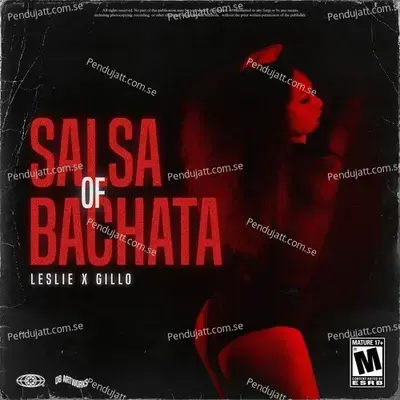 Salsa Of Bachata - Leslie
