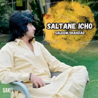 Saltane Icho - Saleem Shahzad cover album