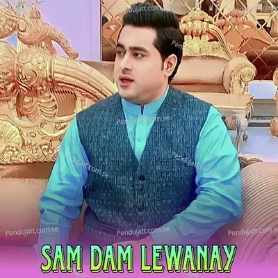 Sam Dam Lewanay - Shah Farooq album cover 