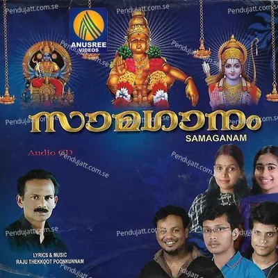 Vrischikam Vannu - Haritha Hareesh album cover 