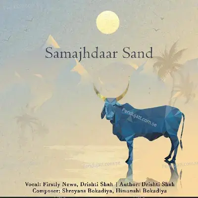 Samajhdaar Sand - Drishti Shah album cover 