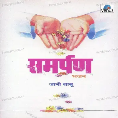 Japle Japle Re Manwa - Jani Baboo album cover 