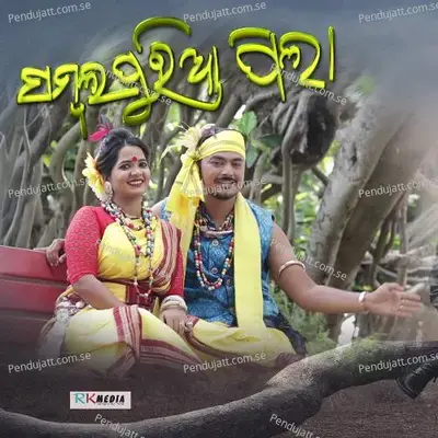 Sambalpuria Raja - Anil Kumar album cover 