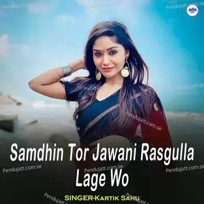 Samdhin Tor Jawani Rasgulla Lage Wo - Kartik Sahu album cover 