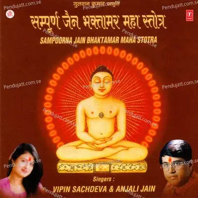 Track No  - 2 - Vipin Sachdeva album cover 