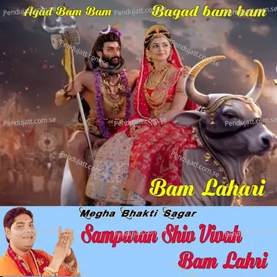 Sampuran Shiv Vivah Bam Lahari - Diwan Arya album cover 