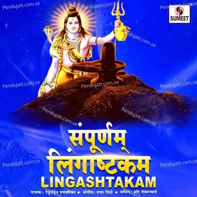 Sampurna Lingashtakam - Raghunandan Panshikar album cover 