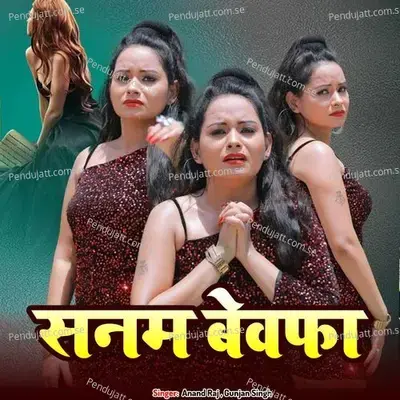 Sanam Bewafa - Anand Raj album cover 