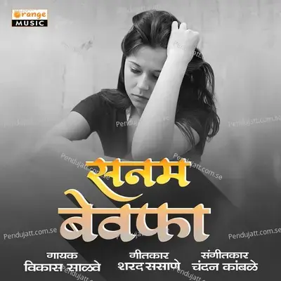 Sanam Bewafa - Vikas Salve album cover 