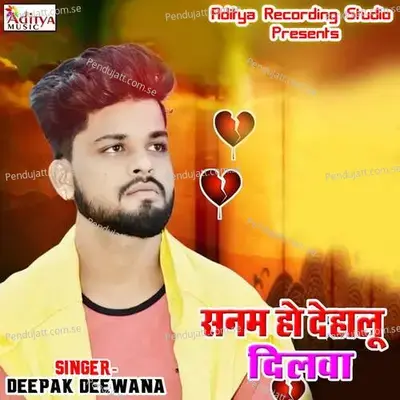 Sanam Ho Dehalu Dilwa - Ranjan Kumar