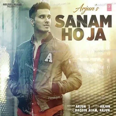 Sanam Ho Ja - Arjun album cover 