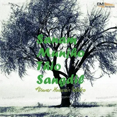 Sanam Munjho Thio Sangdil - Anwar Hussain Wistro cover album