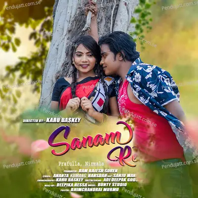 Sanam Re - Prafulla album cover 