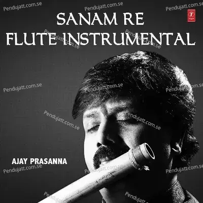 Sanam Re - Flute Instrumental - Mithoon album cover 
