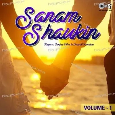 Sanam Shaukin Che - Sanjay Ojha album cover 