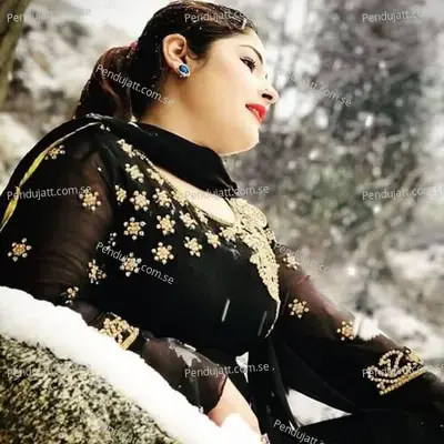 Sanam Suror - Zia Ur Rahman Sada album cover 