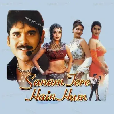 Sanam Tere Hai Hum - Nandkumarvichare