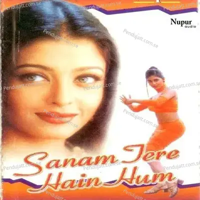 Tum Mile Ho Mujhe - Chandana Dixit album cover 