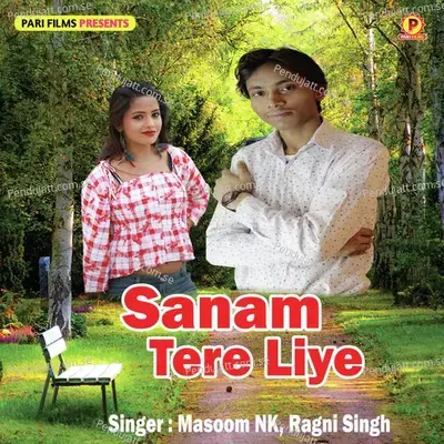 Sanam Tere Liye - Masoom Nk album cover 