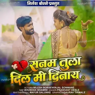 Sanam Tula Dil Mi Dinay - Prashant Desale album cover 