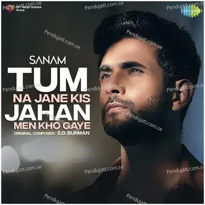 Tum Na Jane Kis Jahan Men Kho Gaye - Sanam album cover 