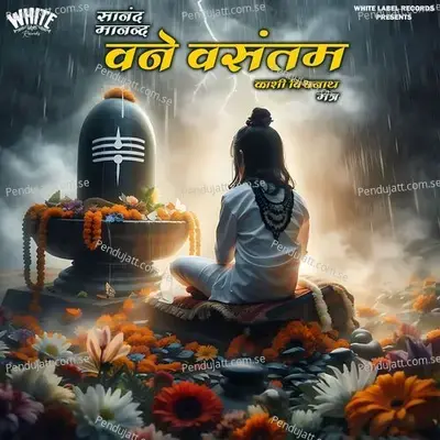 Sanand Manand Vane Vasantam - Kashi Vishwnath Mantra - Mrityunjay Hirmeth album cover 