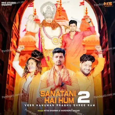 Sanatani Hai Hum 2 - Nitin Sharma album cover 