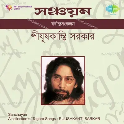 Gahan Ghana Chhailo Gagan - Pijushkanti Sarkar album cover 