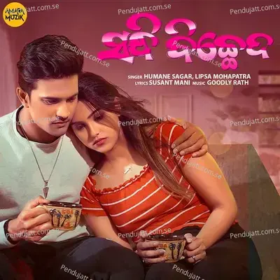 Sandhi Bicheda - Humane Sagar album cover 