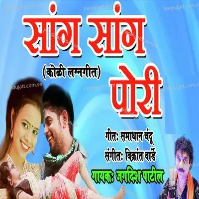 Sang Sang Pori - Jagdish Patil album cover 