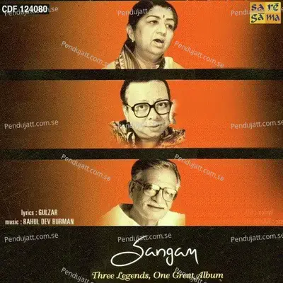 Thodi Si Zamin Thoda Aasman - R.D. Burman album cover 