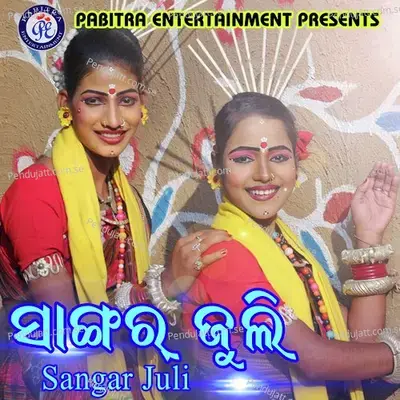 Aiye Madam Kahan Jana - Santanu Sahoo album cover 