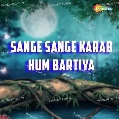 Sange Sange Karab Hum Bartiya - Amrita Anmol album cover 